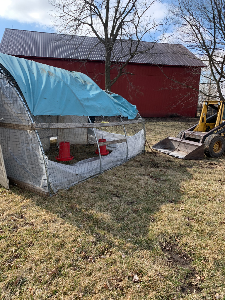 The coop is right side up again. The skidsteer shows in the picture and the chain is still attached to the coop. The roof of the coop is bent in.